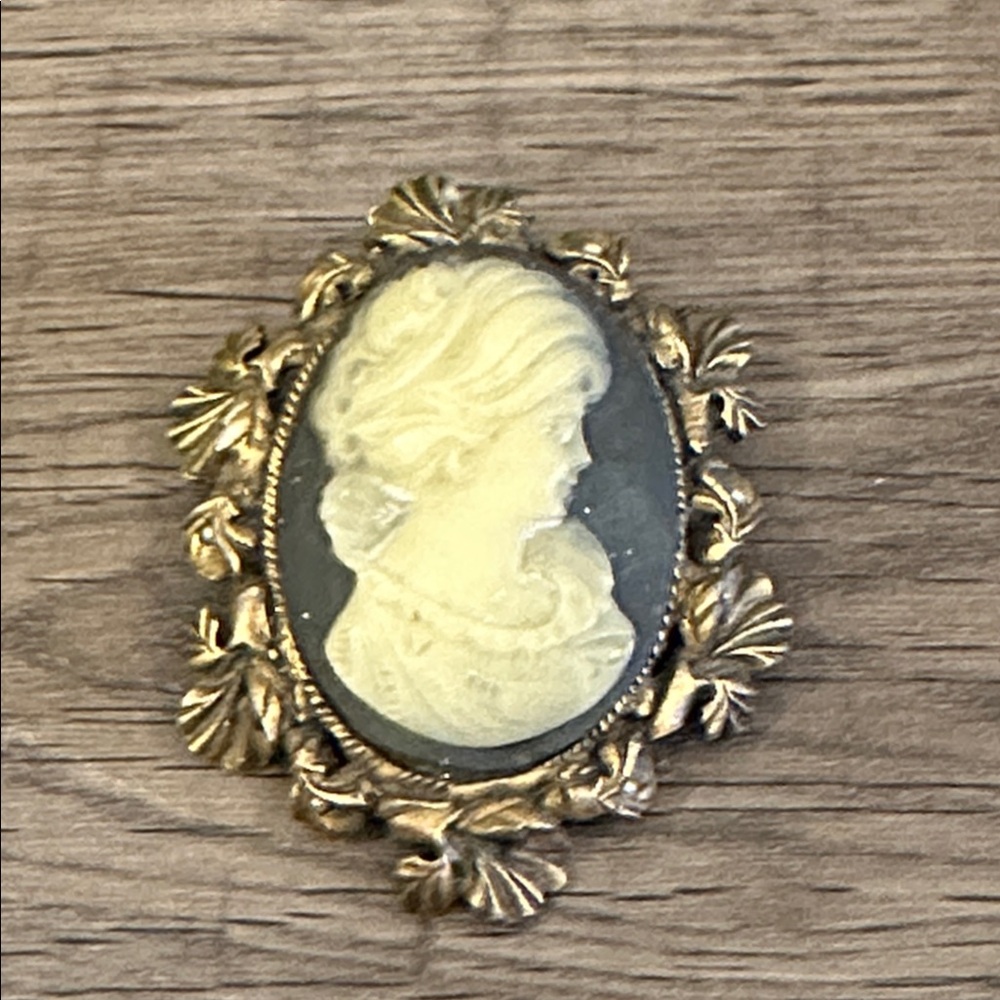 Vintage Cameo Pendant Brooch with Gold Accents